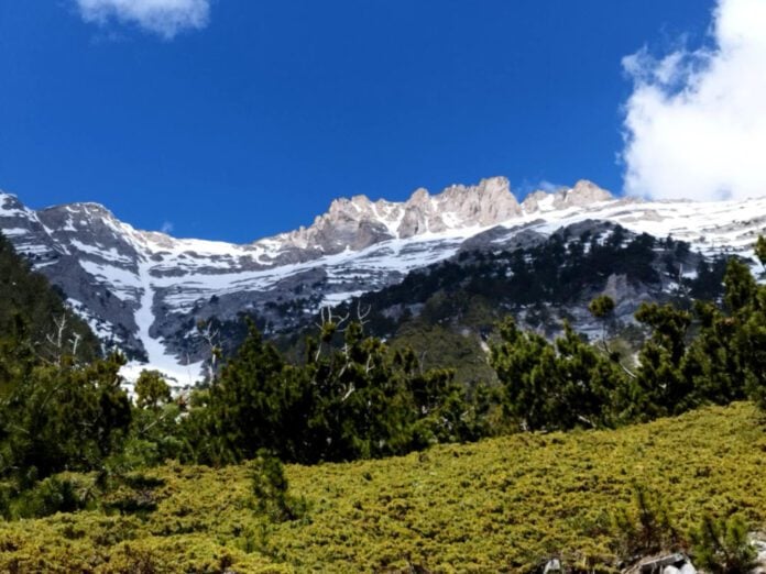 olimpos 1 696x522 1