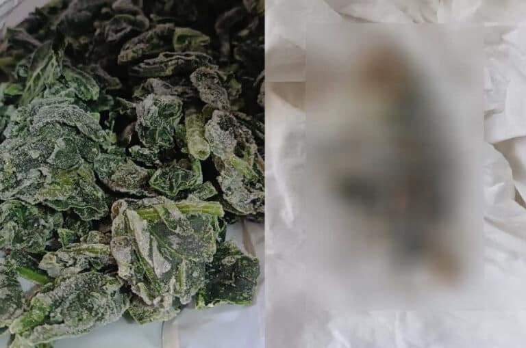 Νεκρό ποντίκι σε Ελληνικό κατεψυγμένο σπανάκι πασίγνωστης εταιρείας
