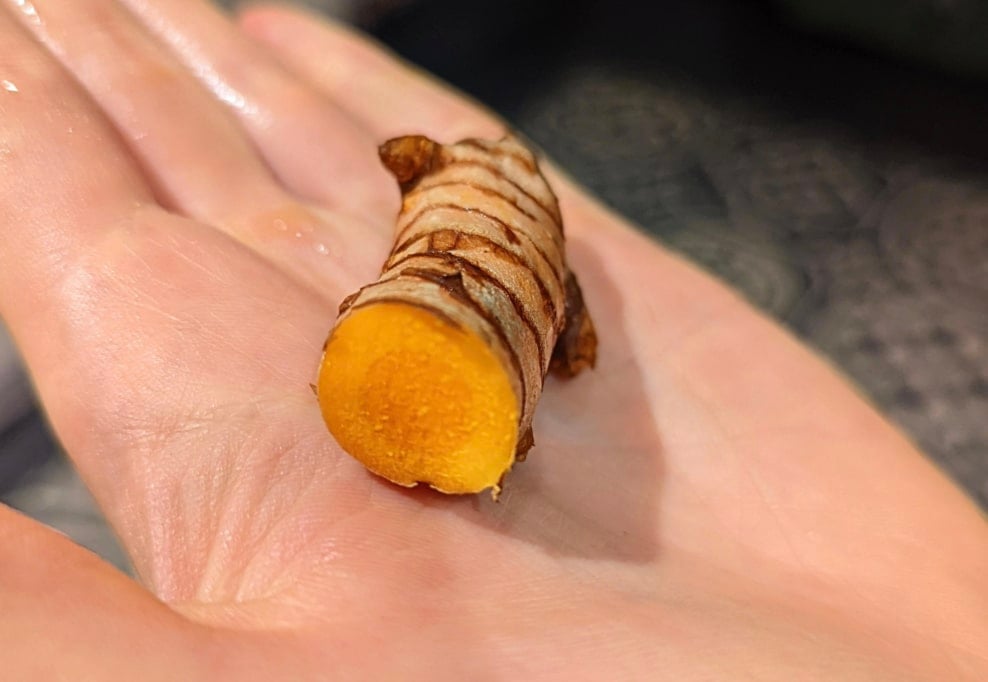 stigmiotypo othonis 2025 10 30 04.13.52