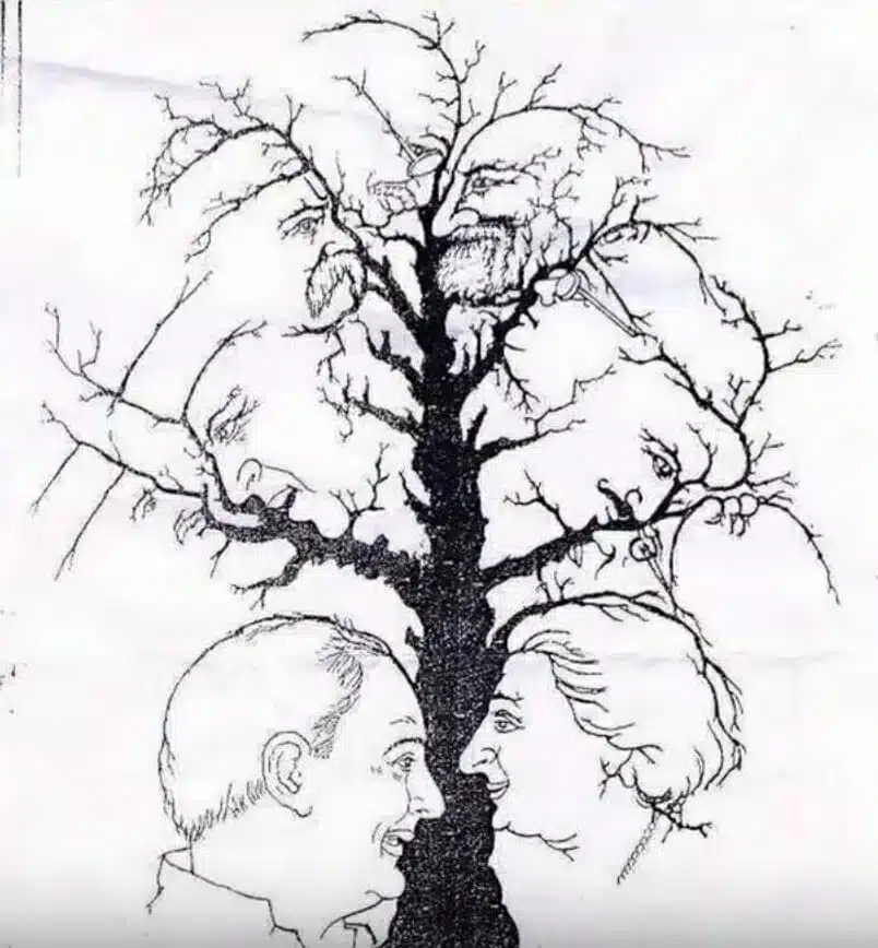 tree.jpg 1