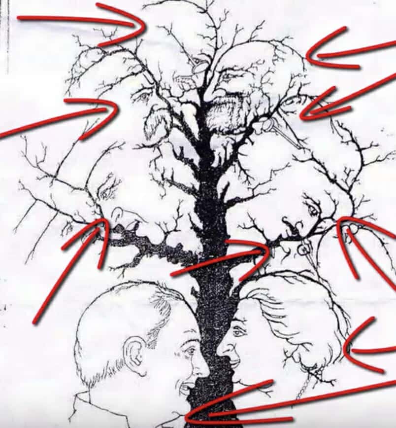 tree2