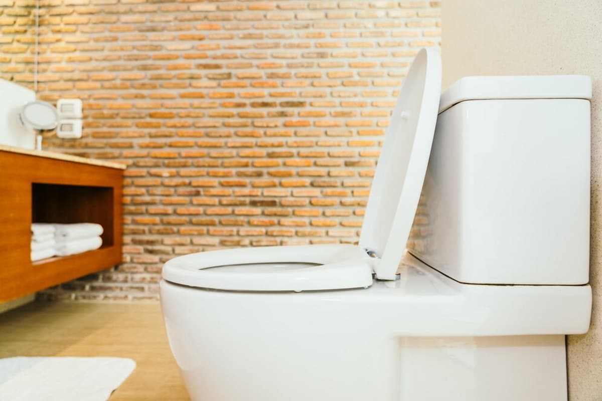 white toilet bowl seat