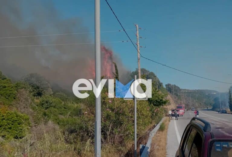 Μεγάλη φωτιά τώρα διπλά σε σπίτια – Συναγερμός στην Πυροσβεστική