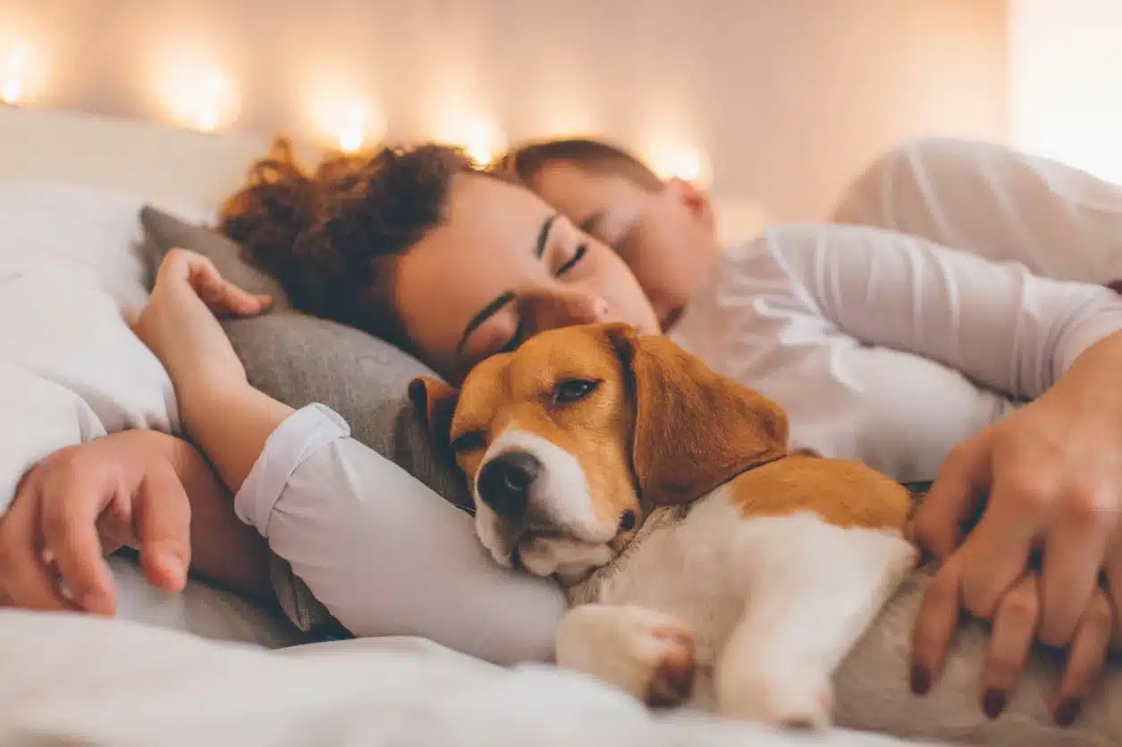 dog sleeping on bed with family
