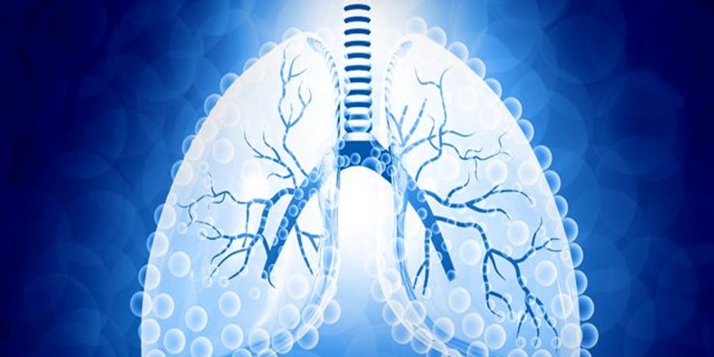 lung
