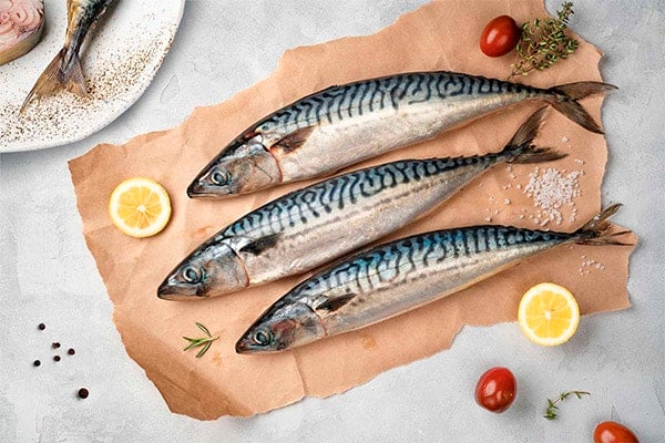 skumbrija v medicine
