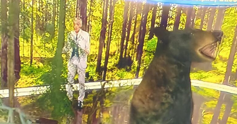 Ατρόμητος ο Ευαγγελάτος – «Φίλε Νίκο φύγε από εκεί…»