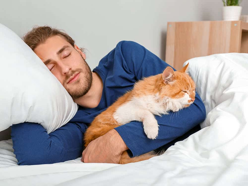 2024 04 17 co sleeping with dogs linked to lower quality sleep hero