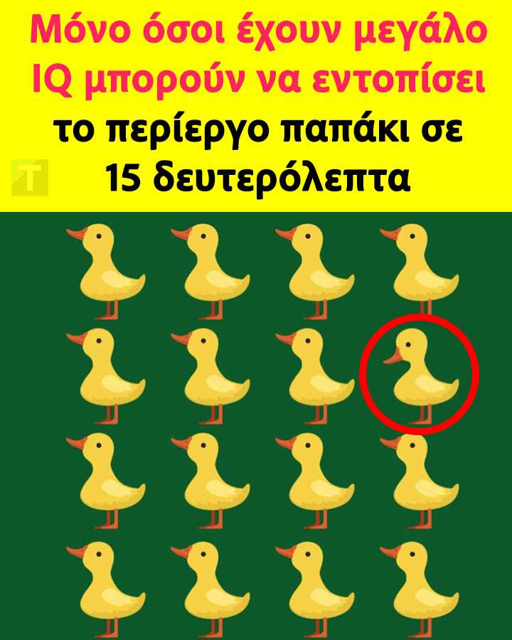 222 11