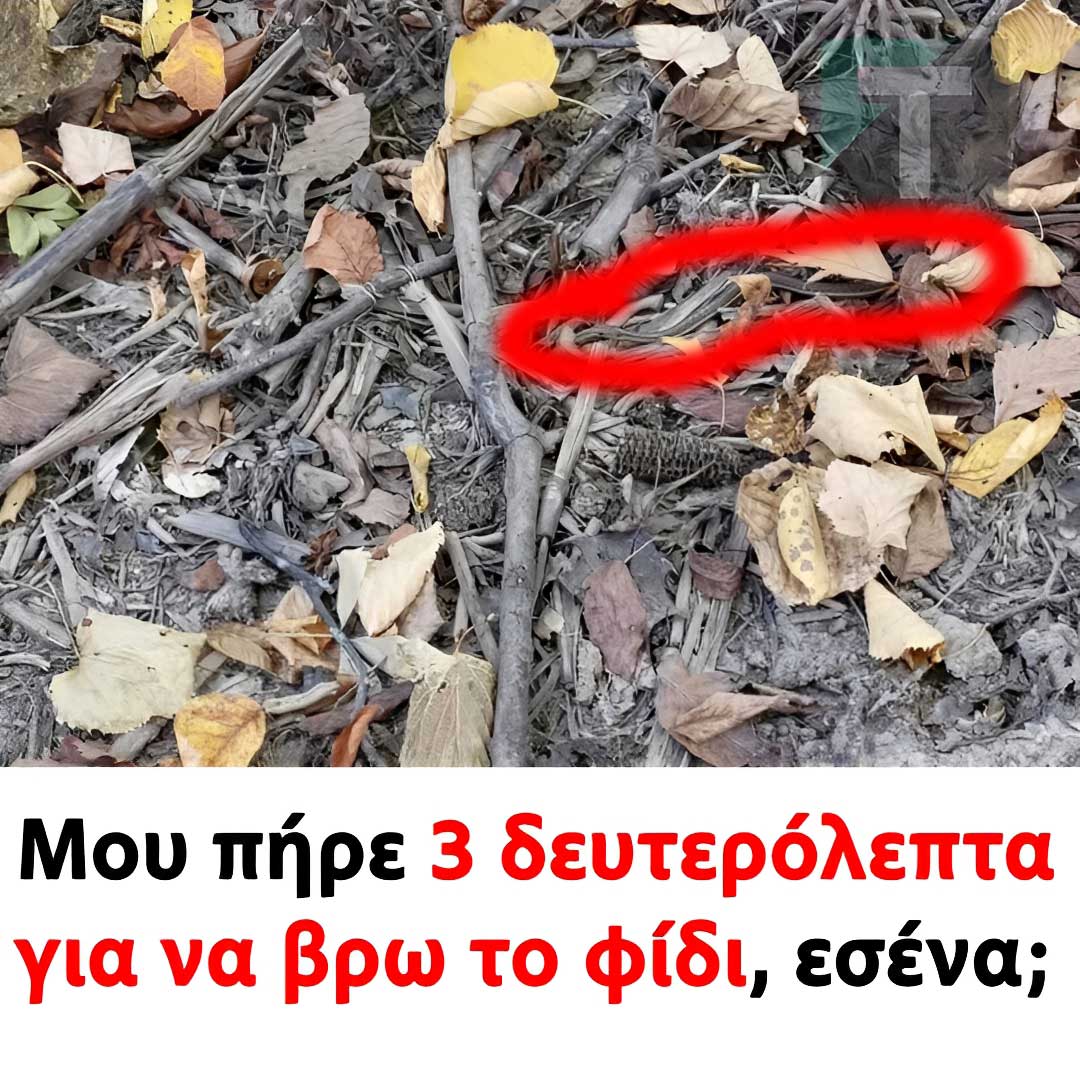 2222 5