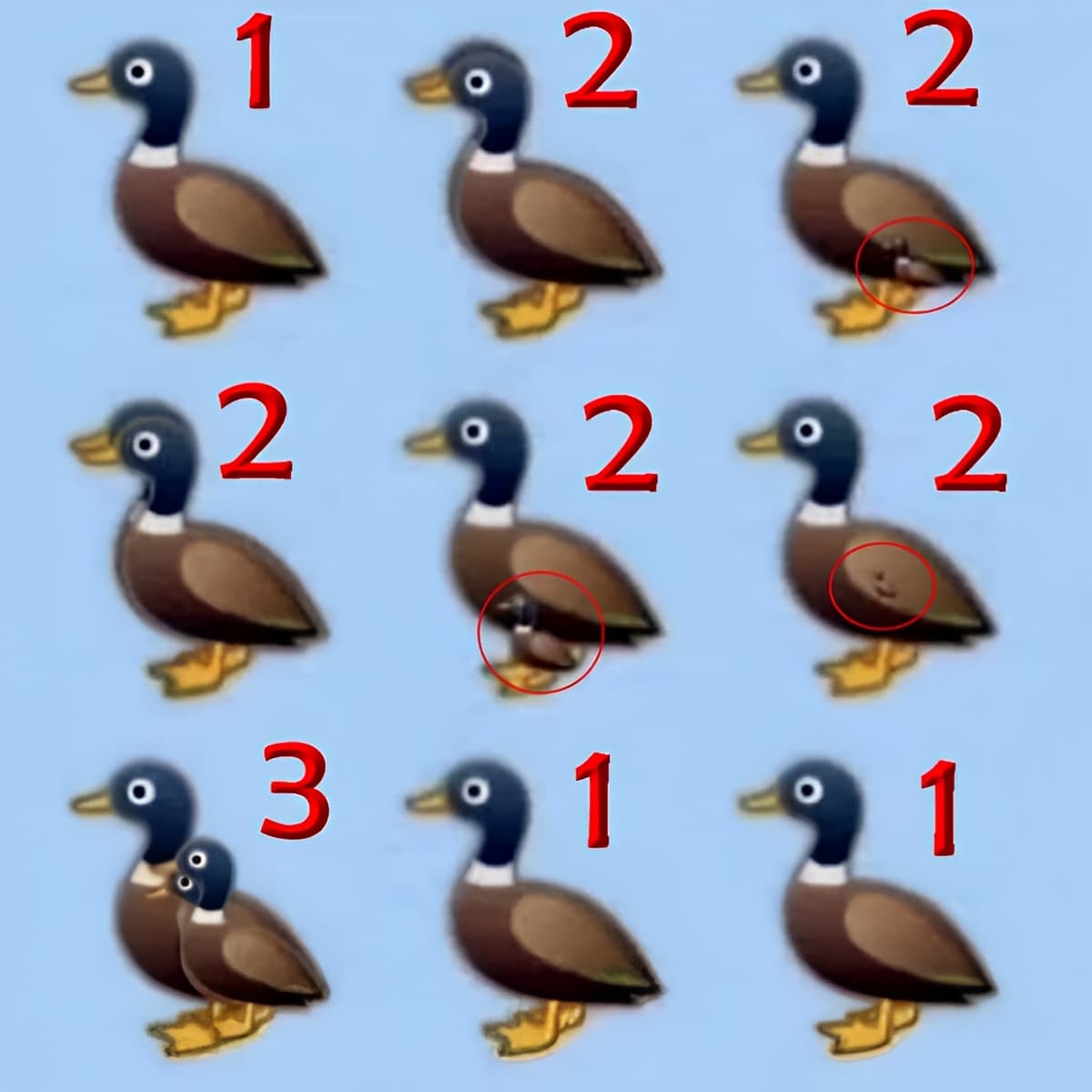 3 11