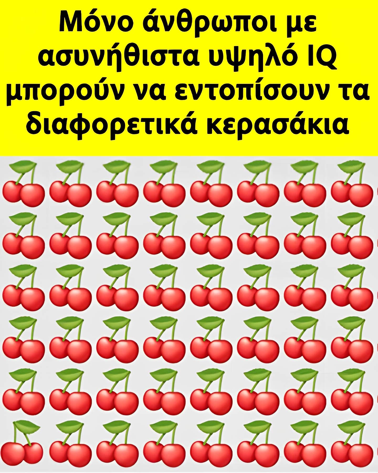 33 5