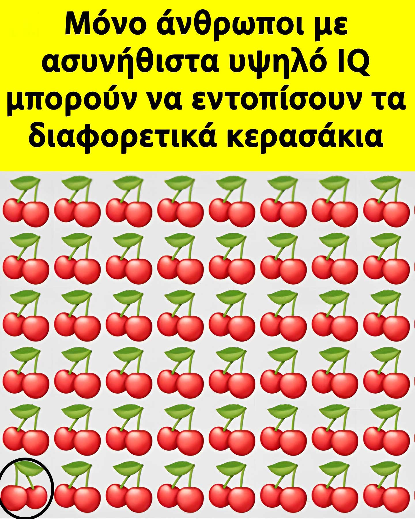 3333 6