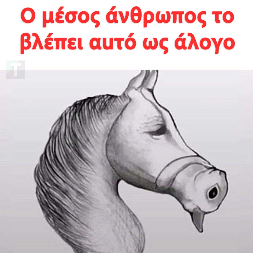 502670230 1103330335173607 4819805078736657195 n