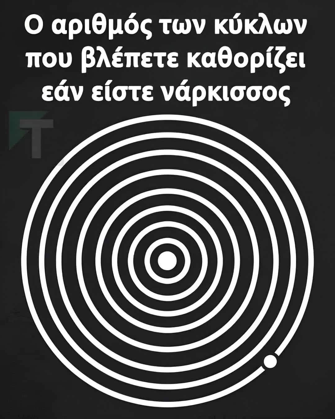 509431530 1119535913553049 3235581180843926484 n