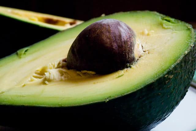 avocado pits are poisonous
