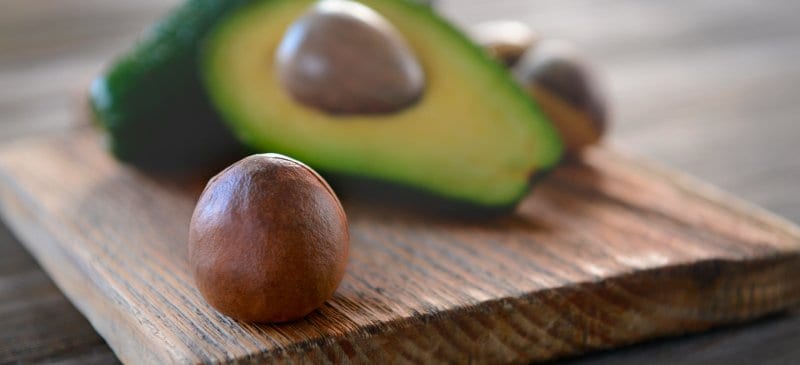 avocadoseedheader