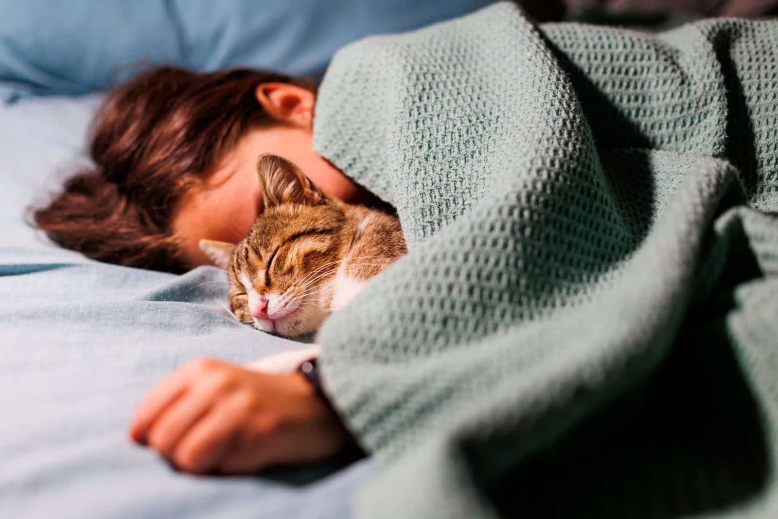 cat sleeping in bed scaled 1 1600x1067 1