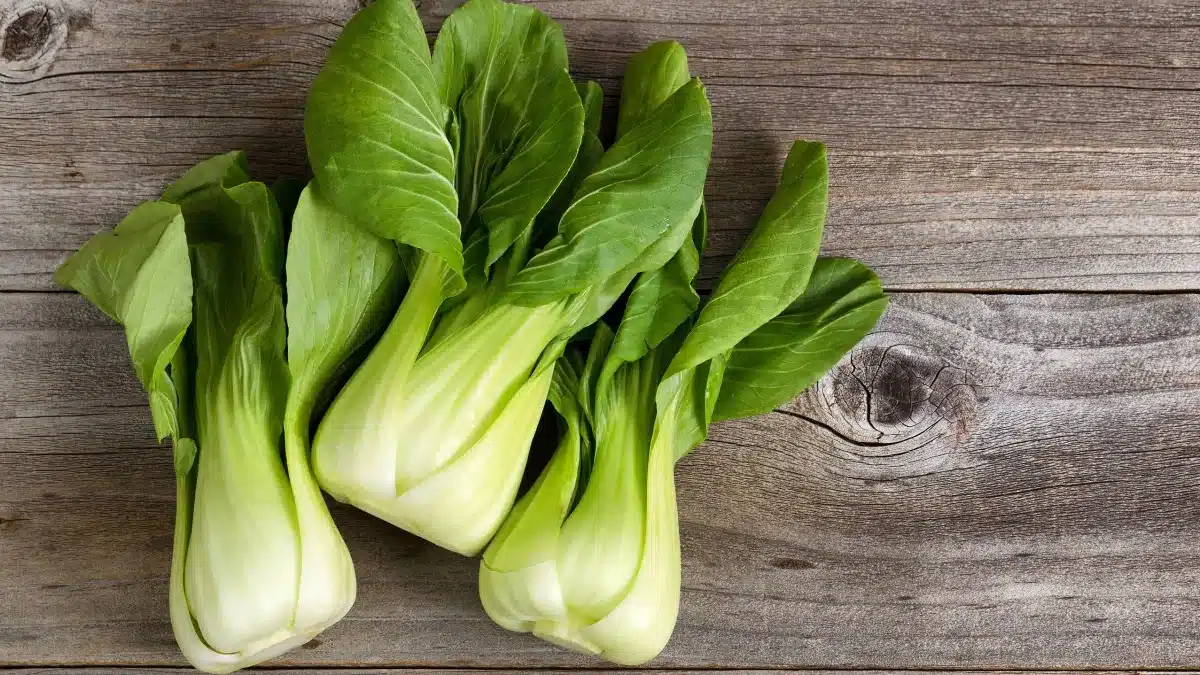 e8c5fa8e bigstock fresh chinese cabbage on rusti 79806058