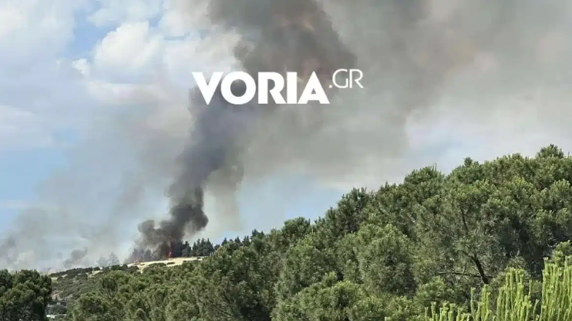 fotia efkarpia