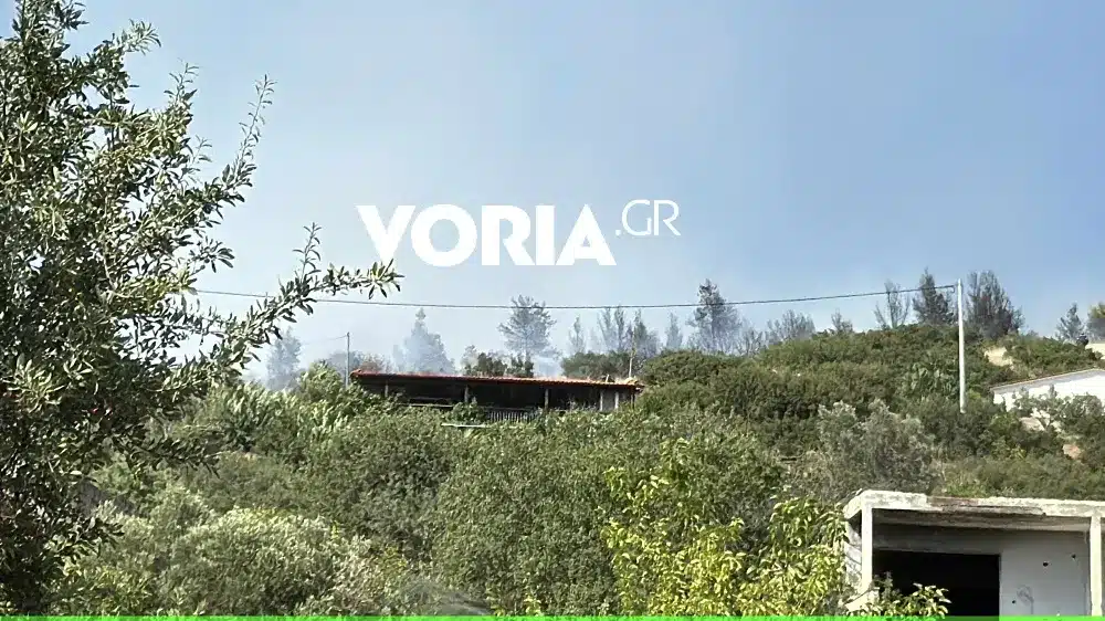 fotia efkarpia4