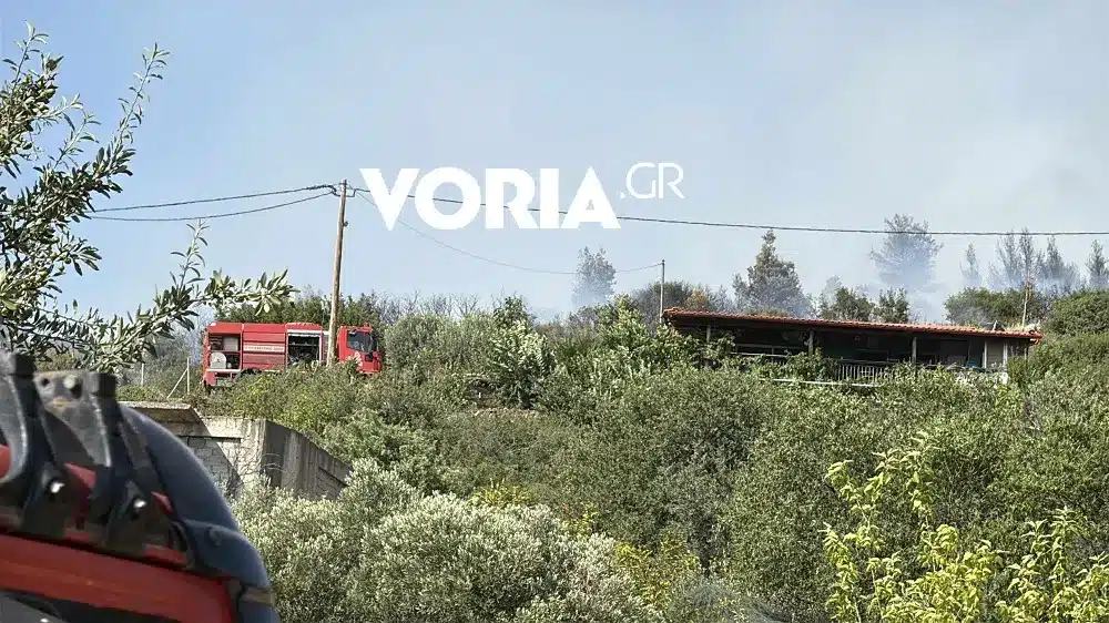fotia efkarpia5