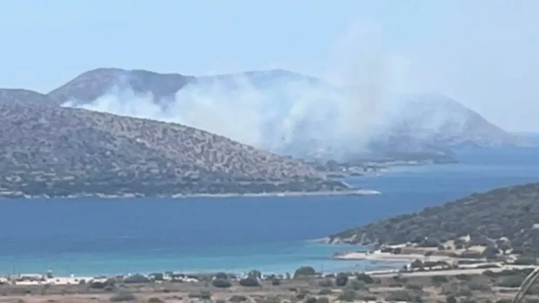 Φωτιά τώρα στην Παλαιά Φώκαια – 112 για εκκένωση της περιοχής Θυμάρι προς Λαγονήσι