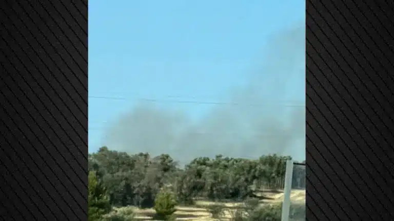 Φωτιά στην Παιανία: Κοντά σε σπίτια οι φλόγες – Μήνυμα του 112