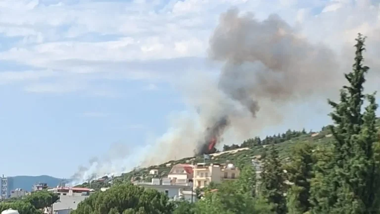 Φωτιά στη Θεσσαλονίκη πίσω από το νοσοκομείο «Παπαγεωργίου» – Καίει κοντά σε σπίτια, ήχησε το 112