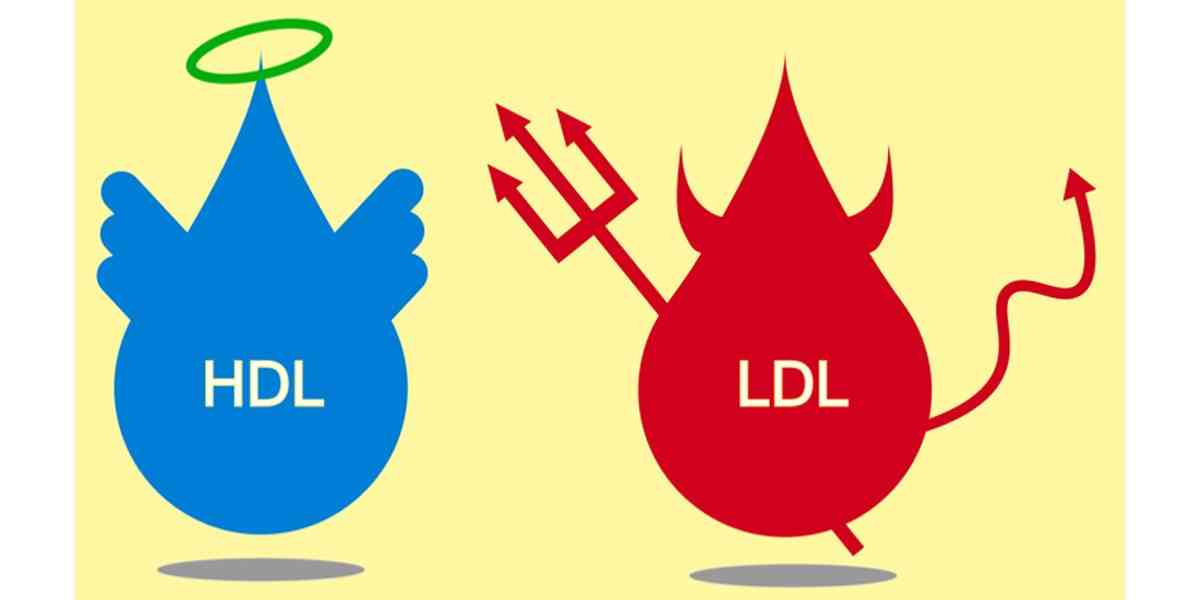 hdl ldl cholesterol n