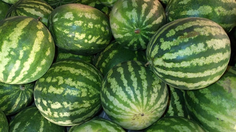 in 1985 watermelons were recalled for pesticide contamination 1733255878