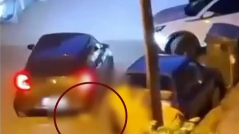 Καλαμαριά: Άνδρας κλωτσάει γατάκι και μετά το πατάει με το αυτοκίνητό του – Συνελήφθη από αστυνομικούς