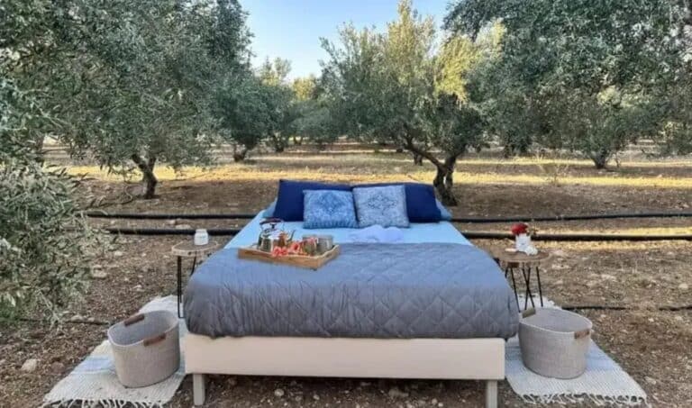 Κρήτη: Νοικιάζουν κρεβάτι μέσα στις… ελιές από  106 έως 126 εupώ το βράδυ – Οι δραστηριότητες και οι  τıμές τους