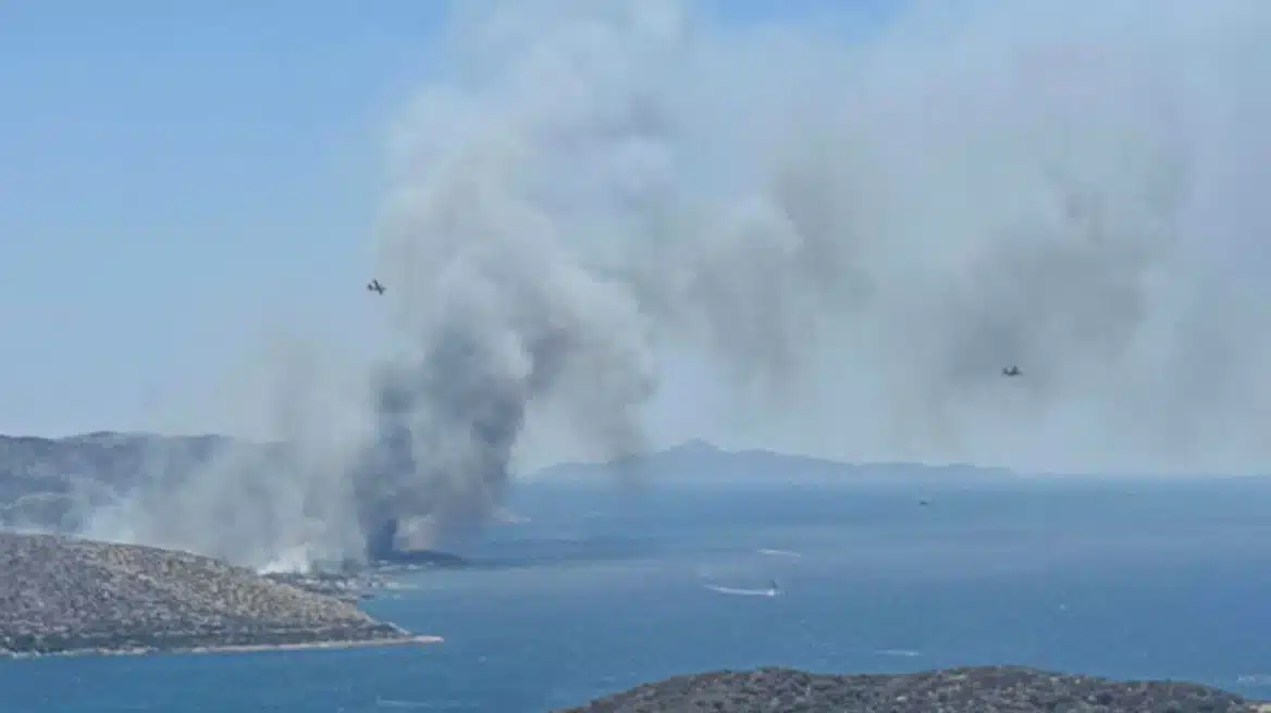 maketa palaia fokaia