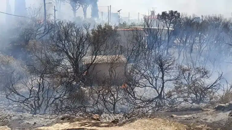 Καίγονται σπίτια από τη φωτιά στην Παλαιά Φώκαια – 112 για εκκενώσεις στο Θυμάρι και τον όρμο Καταφυγή