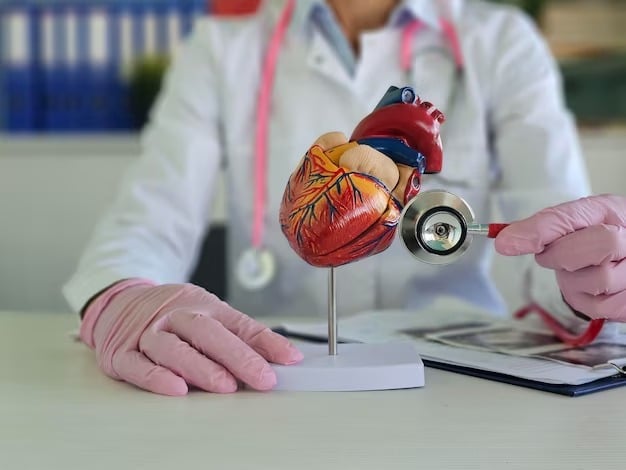 medical professional examines heart model with stethoscope 587895 7774 11zon