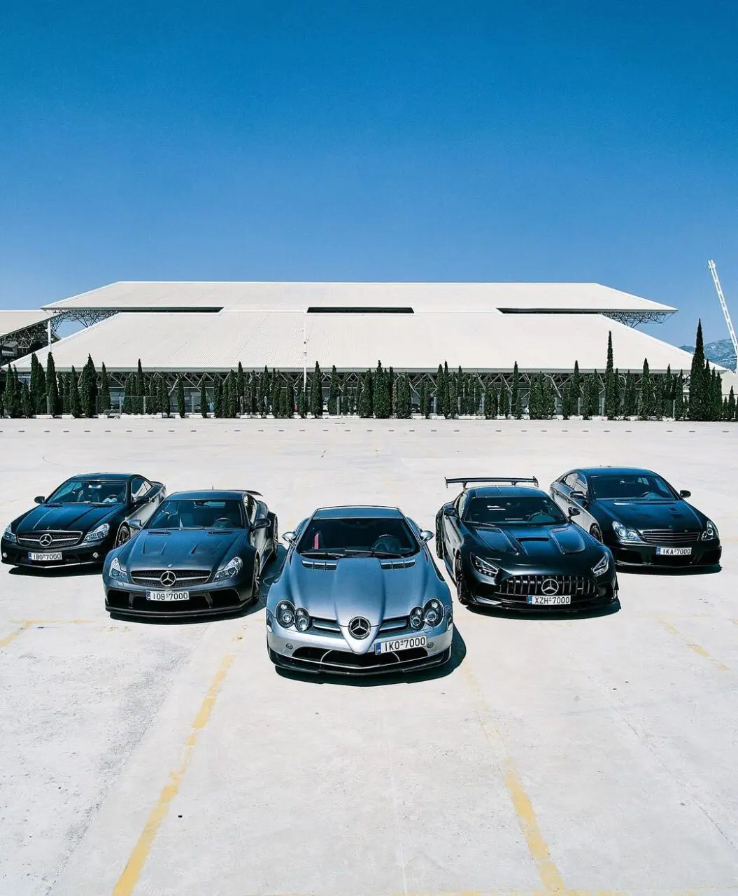 mercedes dpg