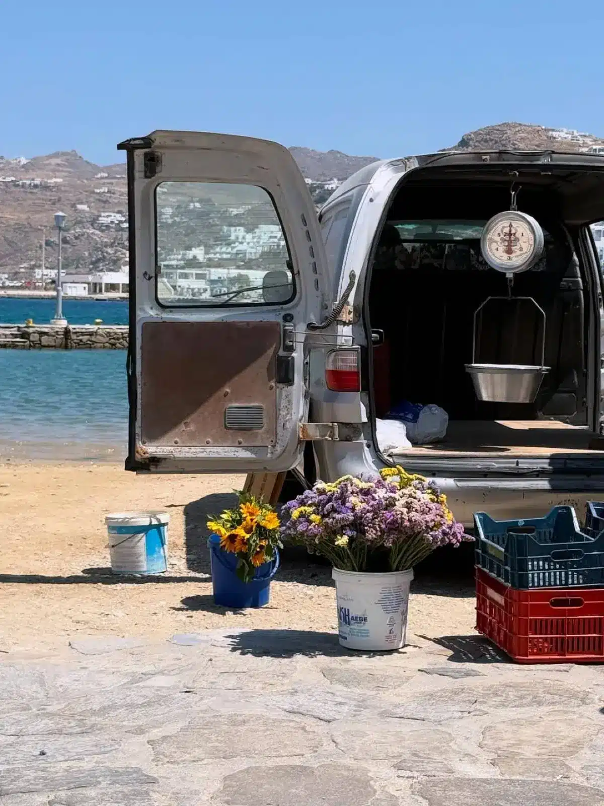 nansy antoniou mykonos aytokinito.jpg