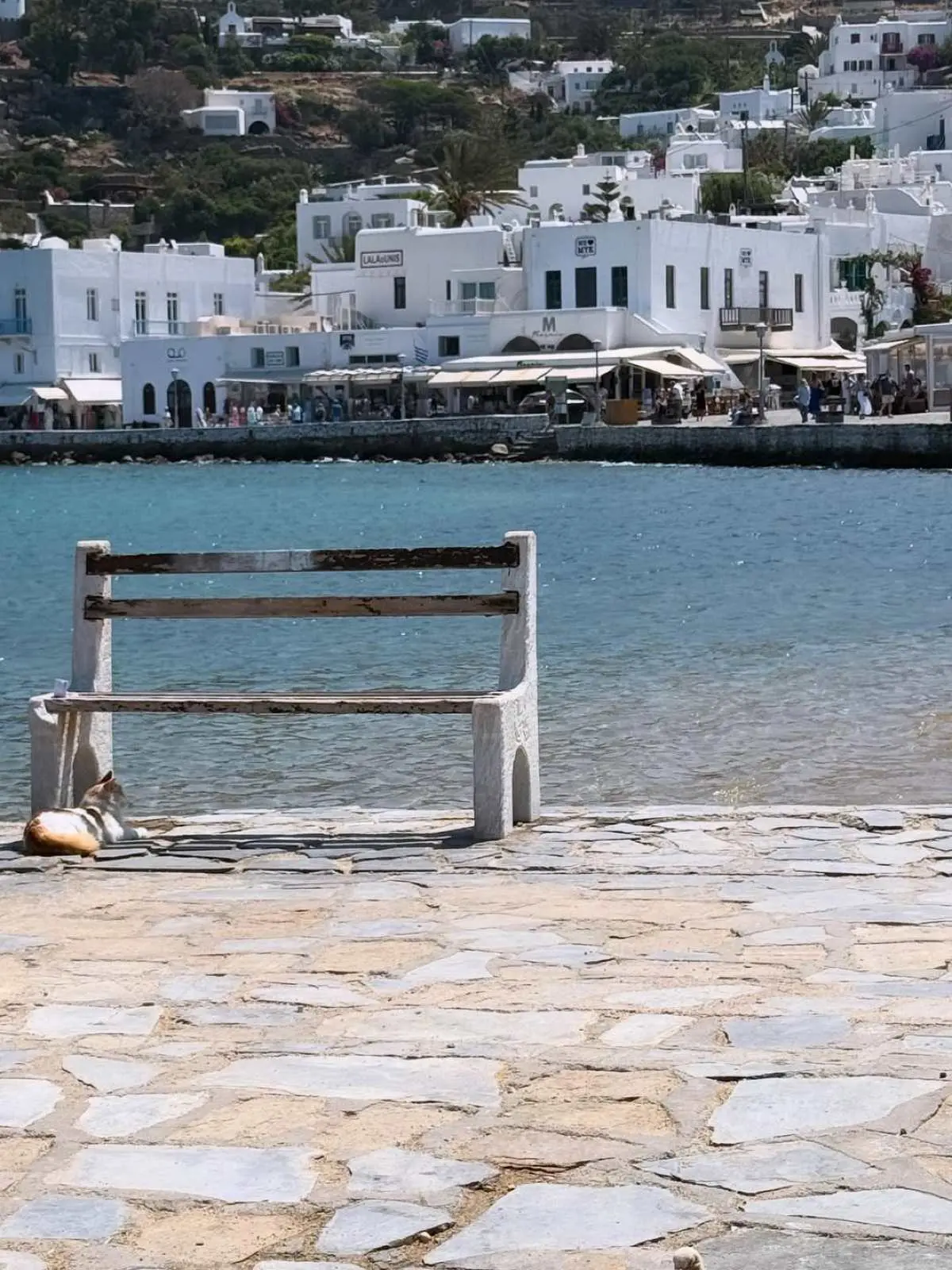 nansy antoniou mykonos pagkaki.jpg