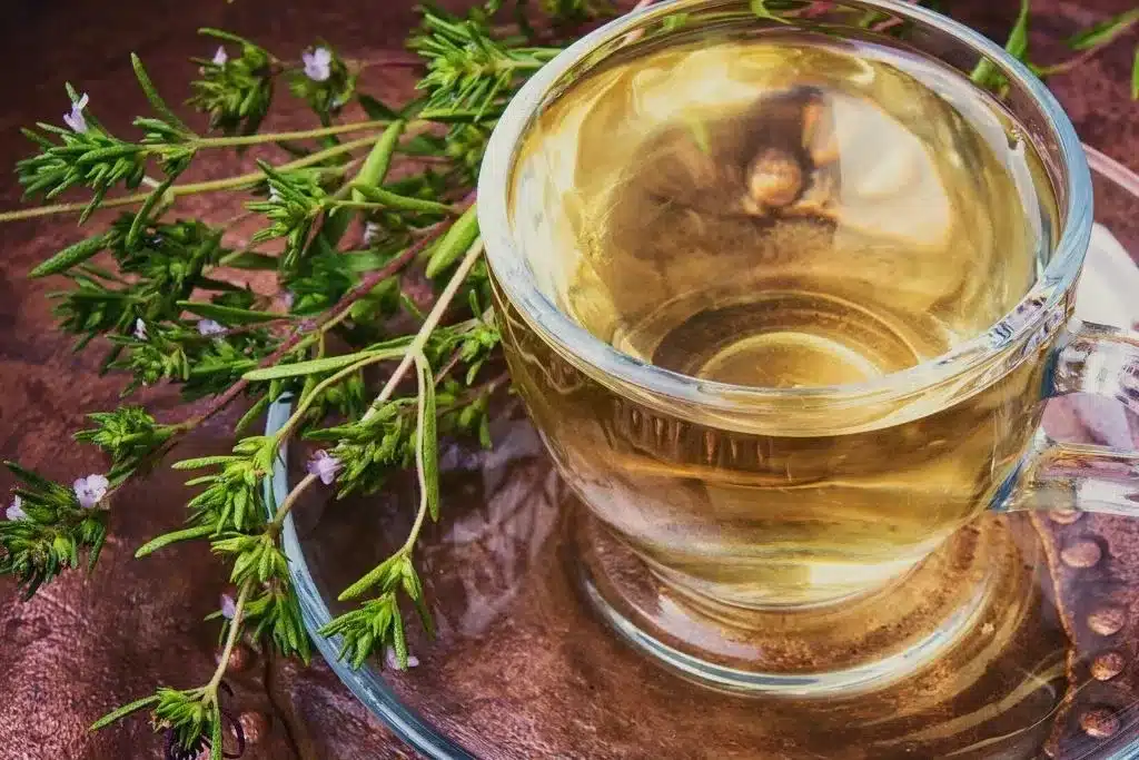 oregano tea x no credit needed 1