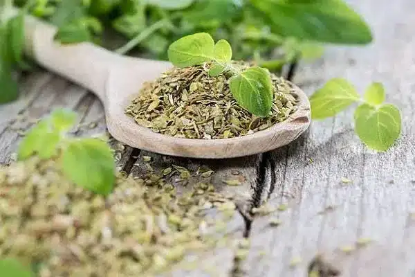 oregano tu nhien