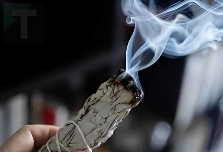 Κάψτε μια μερικά από αυτά τα φύλλα και εξαλείψτε την κακή ενέργεια και το κακό μάτι