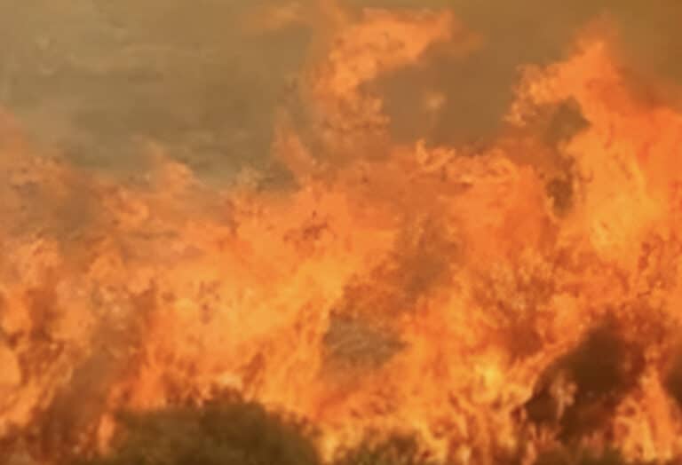 Φωτιά στο Λασίθι: Ισχυρές δυνάμεις της πυροσβεστικής – Μήνυμα του 112
