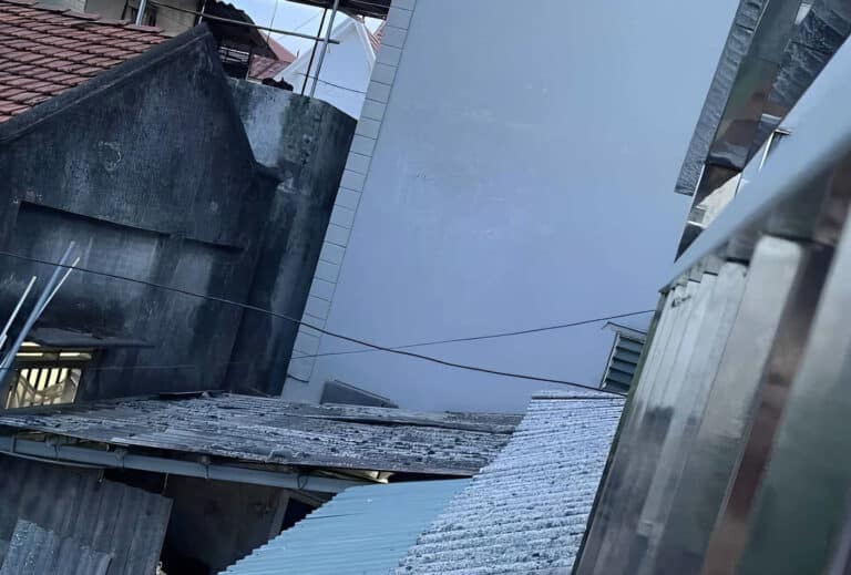 Μόνο όσοι έχουν αετίσια όραση μπορούν να βρουν την γάτα στην φωτογραφία