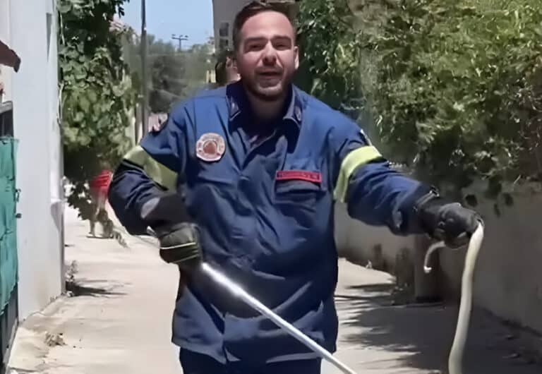 Viral πυροσβέστης στη Λέσβο πιάνει φίδι με σκούπα και ζητάει ένα «τσβαλ»  να το βάλει μέσα