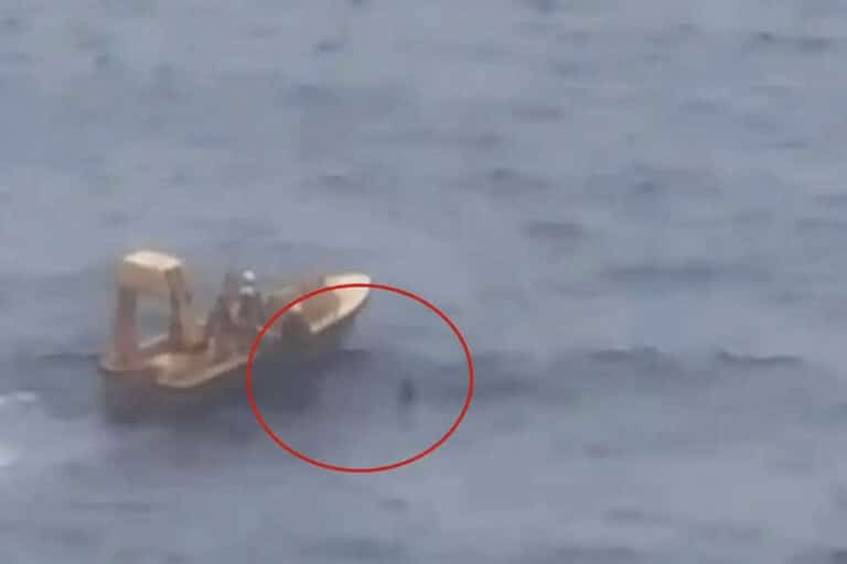 Ατλαντικός Ωκεανός: Πατέρας πήδηξε στη θάλασσα για να σώσει την κόρη του που έπεσε από κρουαζιερόπλοιο