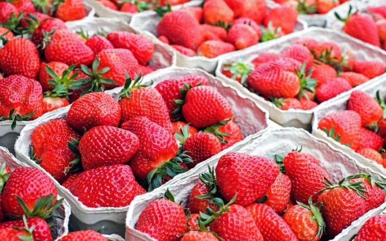 strawberries 1