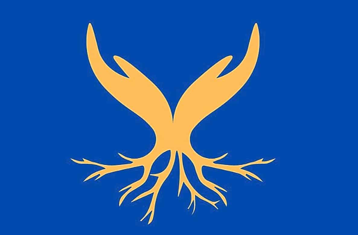 test 11