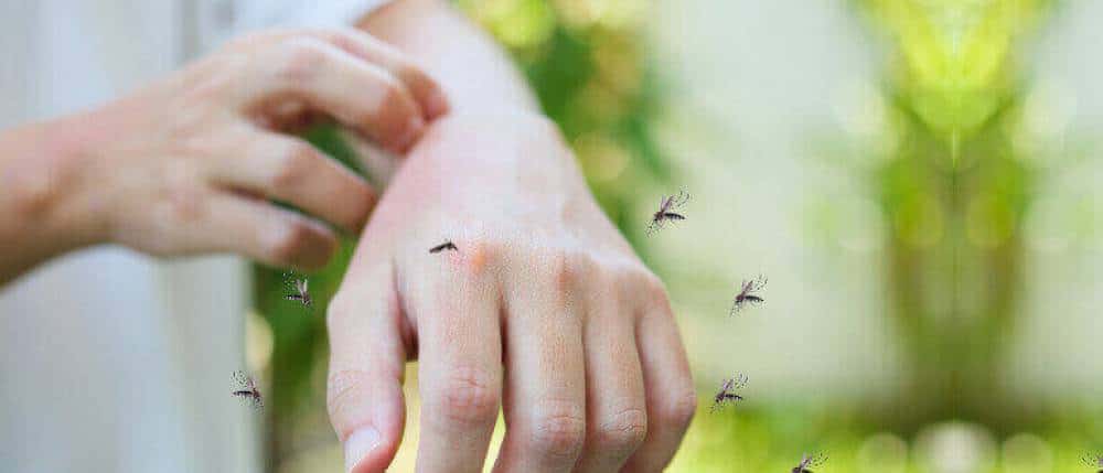 why mosquitos bite some people more than others