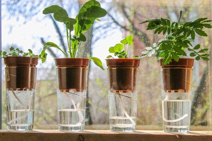 wick watering plants pots glasses stand shelf window 71756 426